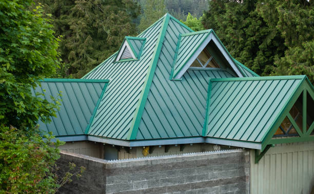 Best Roof Leak Repair  in Napili Honokowai, HI