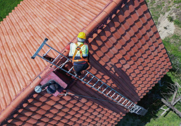Best Roof Insulation Installation  in Napili Honokowai, HI